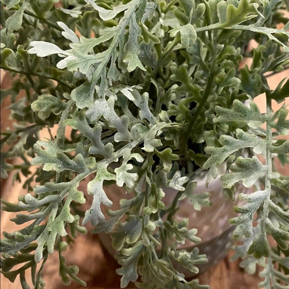 Meet your Posher, Stephanie - Picture 1 of 1